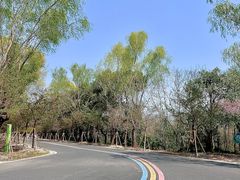 -同里国家湿地公园