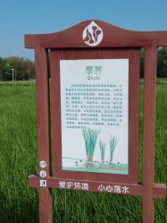 -水八仙生态园