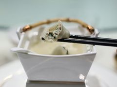 -子福慧(虹桥店)