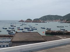 -枸杞岛