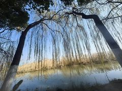 -月湖风景区