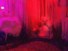 -水晶之星洗浴温泉汗蒸