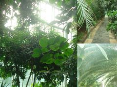 -郑州植物园