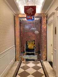 点击看大图 -昆明梦想医疗美容医院