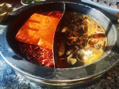 -蜀大侠火锅(总府路店)