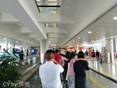 -上海浦东国际机场-T2航站楼