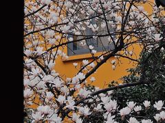 -龙华寺
