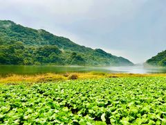-广州市石门国家森林公园