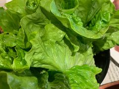 生菜-胡哥烤肥牛(车公庙店)