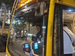 -Big Bus Tours 敞篷观光巴士
