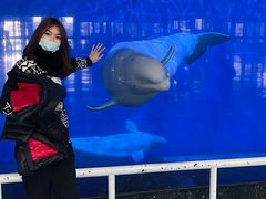 -泉城欧乐堡海洋极地世界