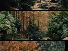 -重庆中央公园(渝北区)