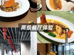 -品味杭州·粤式融合·海鲜小馆·钱江新城CBD