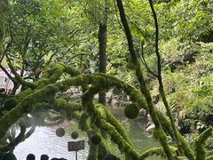-周洛大峡谷