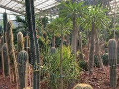 -呀路古热带植物园