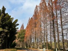 -采石矶景区