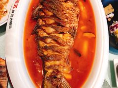 -阿五黄河大鲤鱼(纬三路店)