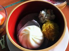 -海底巡游艇:尼莫和好友的海洋世界