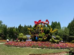 -东平国家森林公园