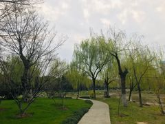 -堤角公园