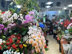 -双季花艺园艺市场(浦东店)