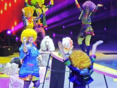 -珠海横琴长隆《卡卡虎奇遇记》