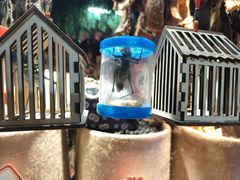 -王婆炒鱼(总店)