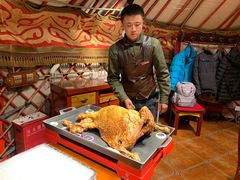 -九十九顶毡房(阜石路店)