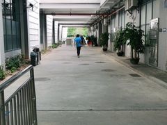 -奥林匹克体育中心游泳馆