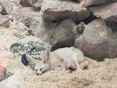 -广州长隆飞鸟乐园
