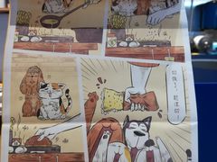 -仰望包角布