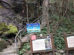 -石台牯牛降景区