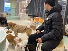 -怪兽屋·羊驼·猫咖·狗咖(俊华广场店)