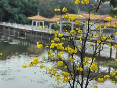 -荔湾湖公园