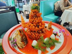 -丁老爷子苏香圆