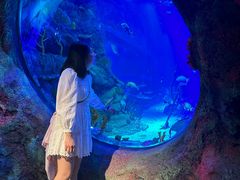 -沈阳海洋探索中心