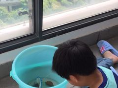 -新湖明珠城