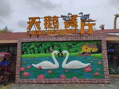 -上海野生动物园