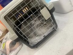 -芭比堂动物医院·24小时·眼科中心(深圳中心)