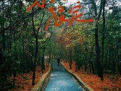 -冶父山国家森林公园