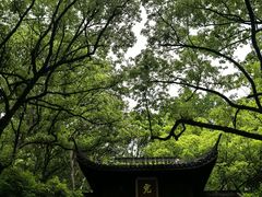 -宋宴(虎跑店)