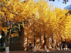 -辽宁大学(崇山校区)