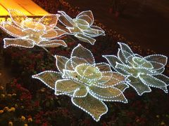 -金山植物公园