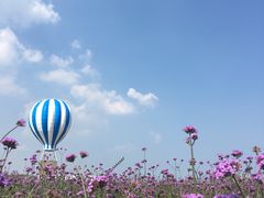 -渔岛海洋度假区