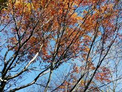 -叠溪松坪沟景区