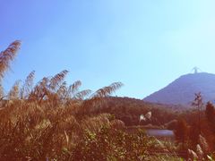 -东部华侨城