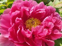 -江南大学(蠡湖校区)