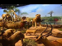 -陕西自然博物馆