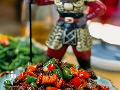 五指山小黄牛肉粒-张猫猫爱吃鱼