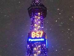 -札幌电视塔